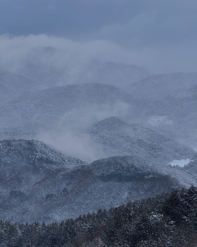 ・
【 お知らせ | 공지 】

山の上の寒さも少し落ち着いてきましたが、
雪が溶けるのはまだ先になりそうです…

海向こうの釜山ロッテ百貨店光復店で
3月7日から3月14日まで試飲会/販売を行います。

● 안녕하세요. 부산 주류 전시회에서의 여러분의 많은 관심으로 인연이 되어 부산 롯데백화점 광복점에서 3월 7일부터 3월 14일까지 시음행사를 진행하기로 하였습니다.

200ml 및 700ml를 판매하며 시음 행사이니 시간이 되신다면 많은 관심과 방문해 주시면 감사하겠습니다.

우리의 수입 파트너 ▶︎ @masiju_official 

● 7월에는 증류소 팀이 SEOUL BAR & SPIRITS SHOW 2025에 참가합니다.

・
・
・

#mairingendistillery #gin #japan #kyoto #kyotango #distillery  #nature #京丹後舞輪源蒸留所 #舞輪源蒸留所 #舞輪源 #マイリンゲン #クラフトジン #ジン #お酒 #京都 #京丹後 #蒸留所 #薬草 #野草 #自然 #술 #일본 #증류소 #교토